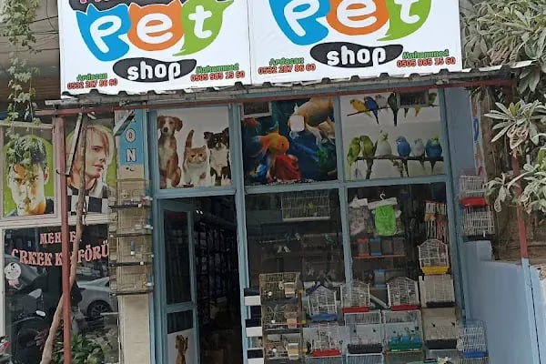 Ardacan Petshop - Resim 16