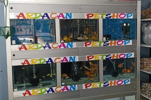Ardacan Petshop - Resim 6