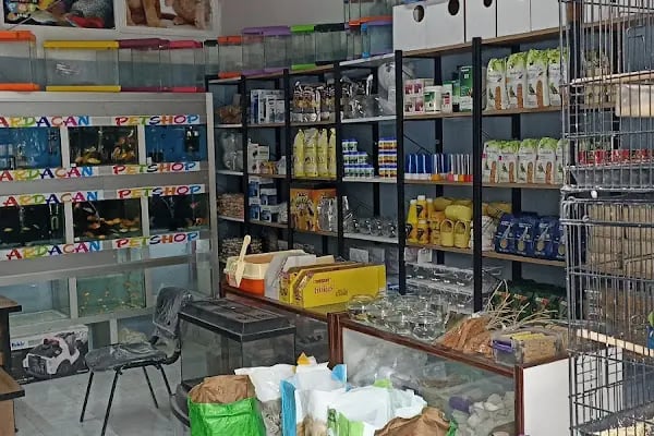 Ardacan Petshop - Resim 12