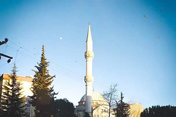 Erkaynak Cami - Resim 15