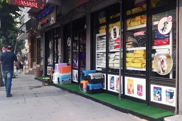 Momentum Pet Shop - Resim 1