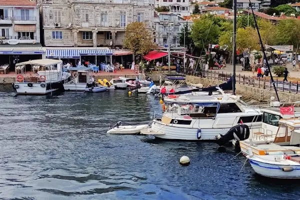 Burgazada Sait Faik Abası Yanık İlköğretim Okulu - Resim 8