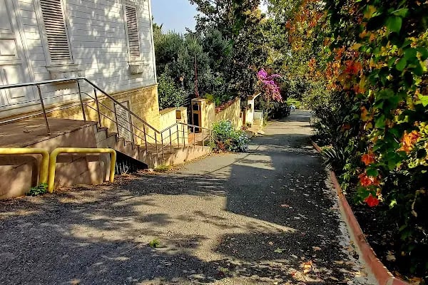 Burgazada Sait Faik Abası Yanık İlköğretim Okulu - Resim 20