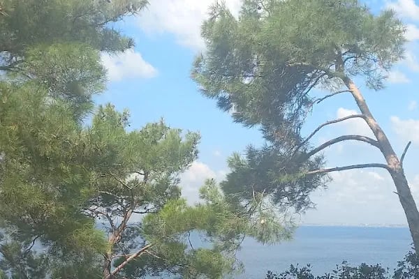 Burgazada Sait Faik Abası Yanık İlköğretim Okulu - Resim 10