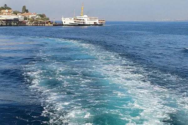 Burgazada Sait Faik Abası Yanık İlköğretim Okulu - Resim 11