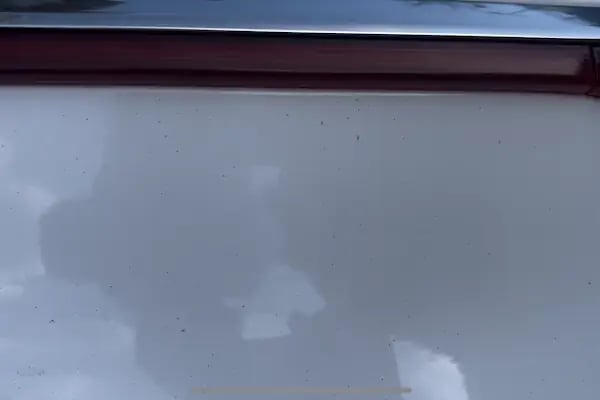 Premier Auto Spa &amp; Oto Yıkama - Resim 13
