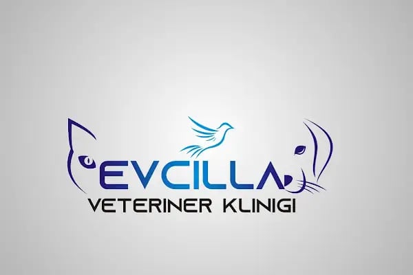 Evcilla Veteriner Kliniği - Resim 4