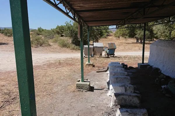 Yalin ayak dede turbesi - Resim 5