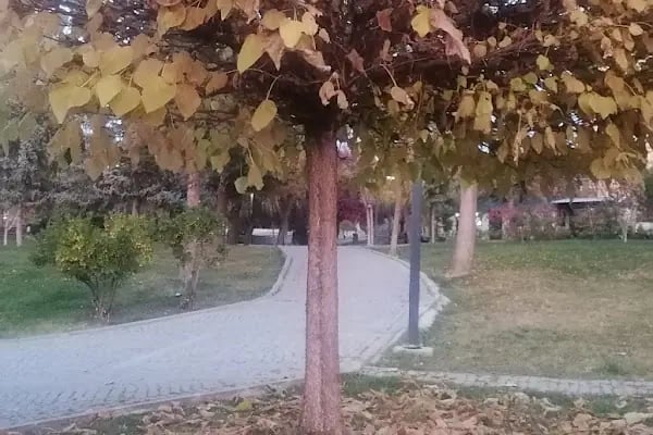 Örnek Parkı - Resim 18