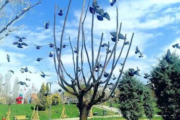 Örnek Parkı - Resim 13