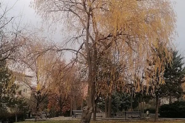 Örnek Parkı - Resim 11