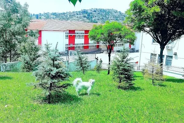 Örnek Parkı - Resim 10