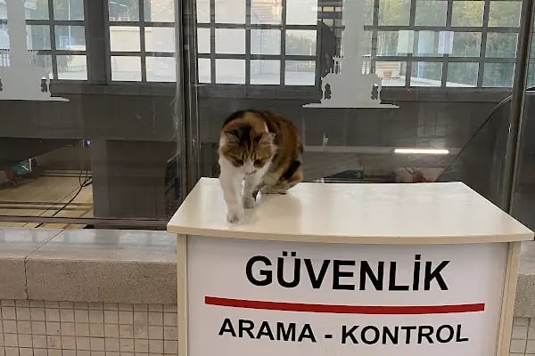 Ege Üniversitesi Metro İstasyonu - Resim 11