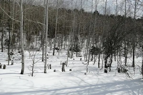 Teke Dağı Milli Parkı - Resim 17
