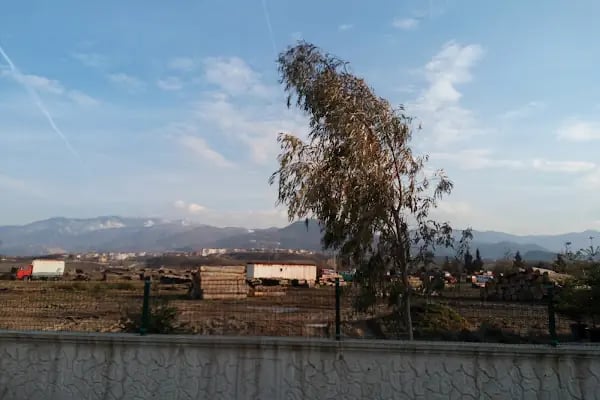 Yuvacık Orman Deposu - Resim 1