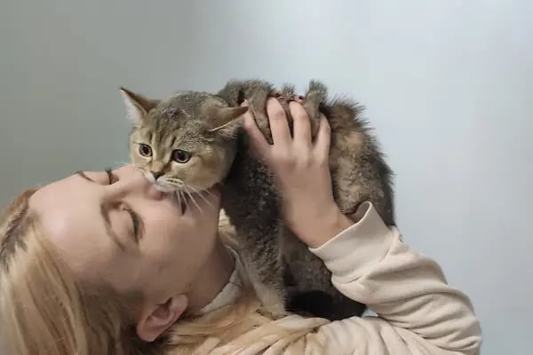 Vetcur Aliağa veteriner polikliniği - Resim 14
