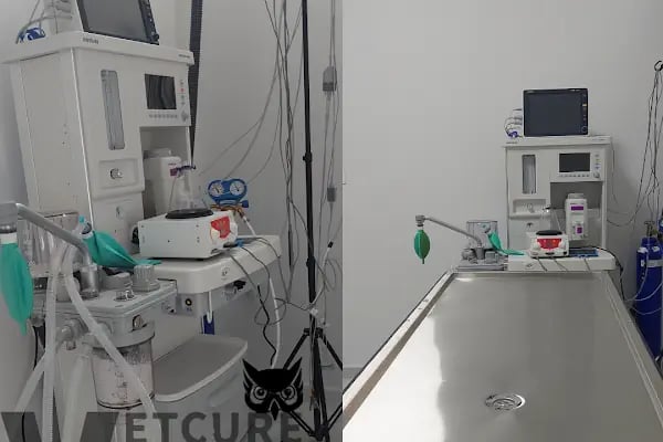 Vetcur Aliağa veteriner polikliniği - Resim 4