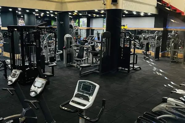 Gym Time - Resim 14