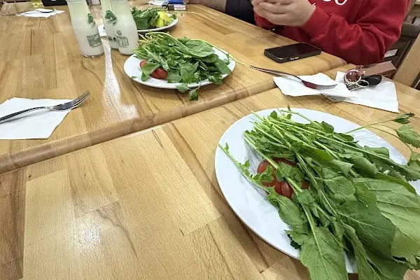 Aslım şimşek kasap çiftlik - Resim 8