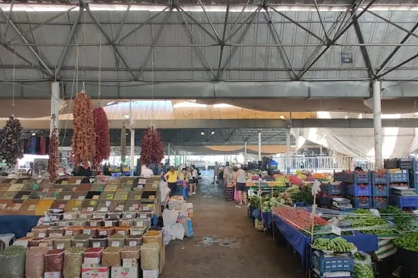 Bodrum Otobüs Terminali - Resim 10