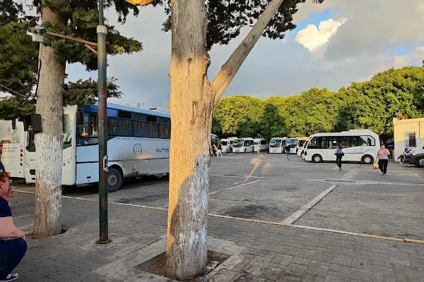 Bodrum Otobüs Terminali - Resim 15