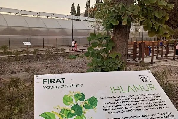Fırat Yaşayan Parkı - Resim 4