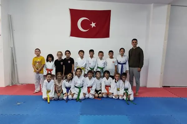Demirtaş Spor Akademisi - Resim 2