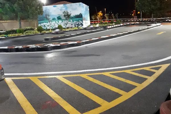 Fevpark Dragos Go-Kart - Resim 13