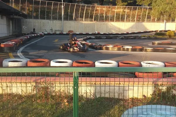 Fevpark Dragos Go-Kart - Resim 19