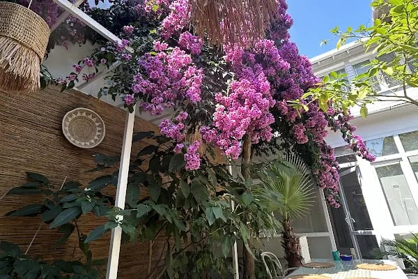 Bahçe Kahvaltı Büyükada - Resim 9