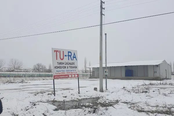 DİTAŞ MEYVE SEBZE KOMİSYON TİCARET - Resim 8