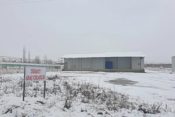 DİTAŞ MEYVE SEBZE KOMİSYON TİCARET - Resim 2