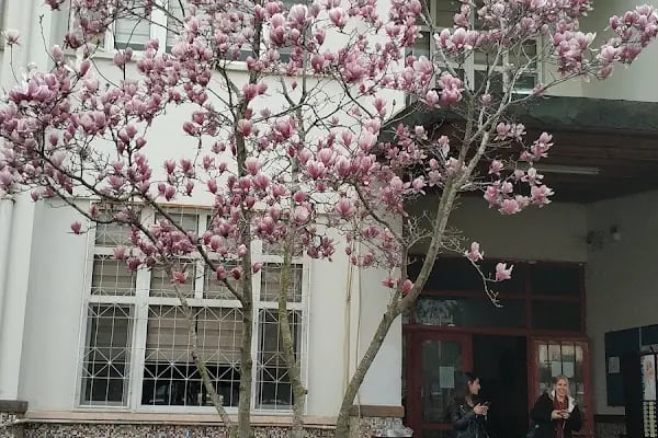 Çukurova Üniversitesi İktisadi Ve İdari Bilimler Fakültesi - Resim 16
