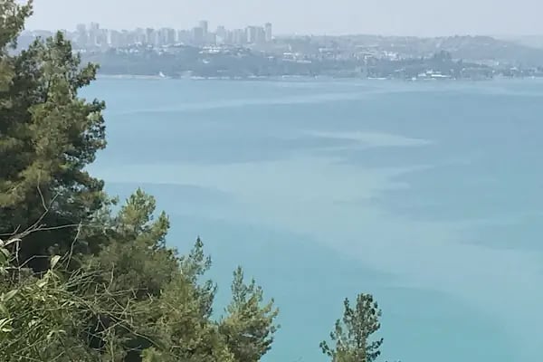 Çukurova Üniversitesi İktisadi Ve İdari Bilimler Fakültesi - Resim 7