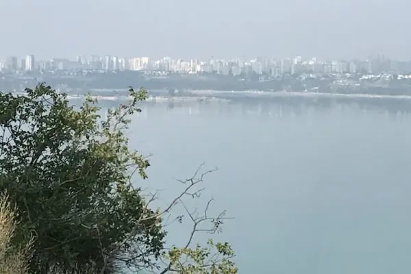 Çukurova Üniversitesi İktisadi Ve İdari Bilimler Fakültesi - Resim 14