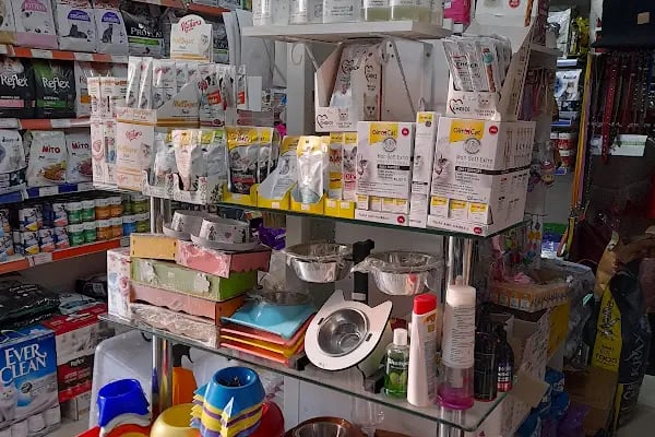 Yağmur Pet Shop - Resim 3