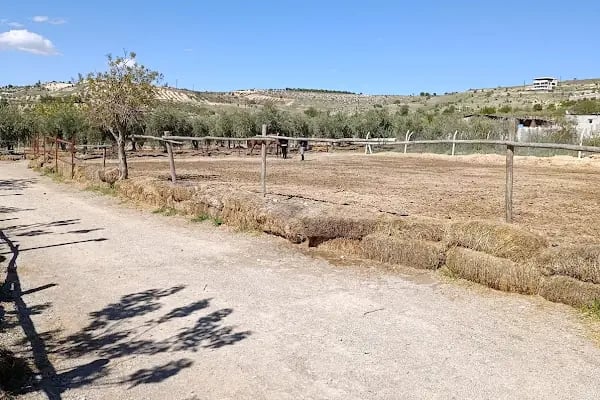 Gaziantep Binicilik Kulübü & GBK Cafe-Restaurant - Resim 9