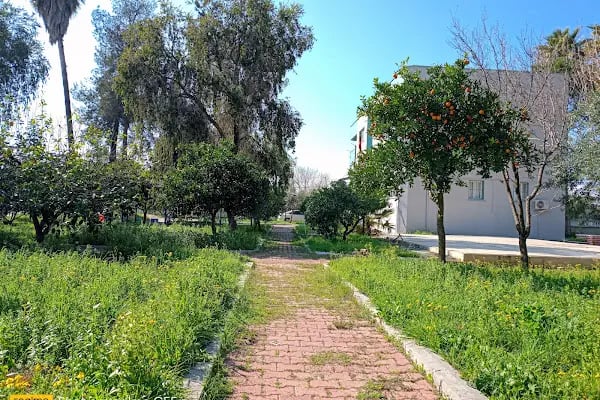 İmamoğlu Stadyum - Resim 2