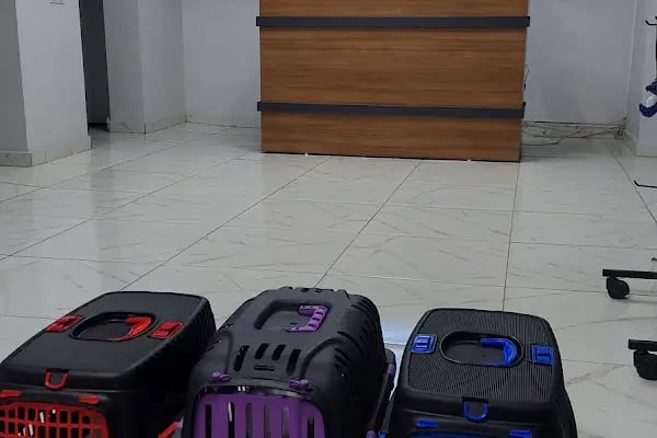 Elçi Veteriner Kliniği - Resim 17