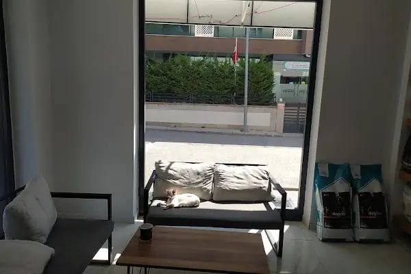 Elçi Veteriner Kliniği - Resim 8