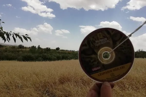 Bademli - Resim 16