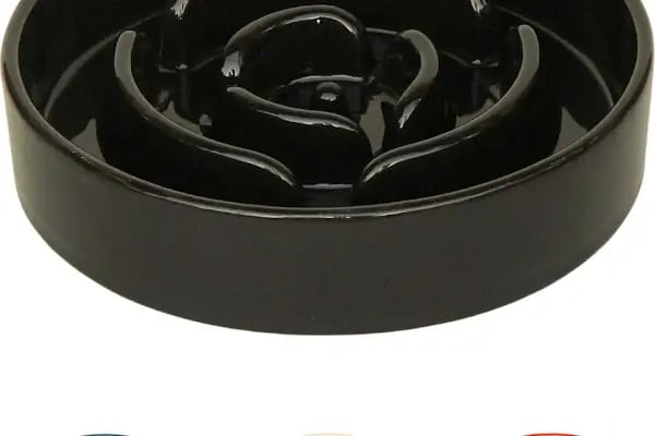 Ataşehir Nokta Pet Shop - Resim 4