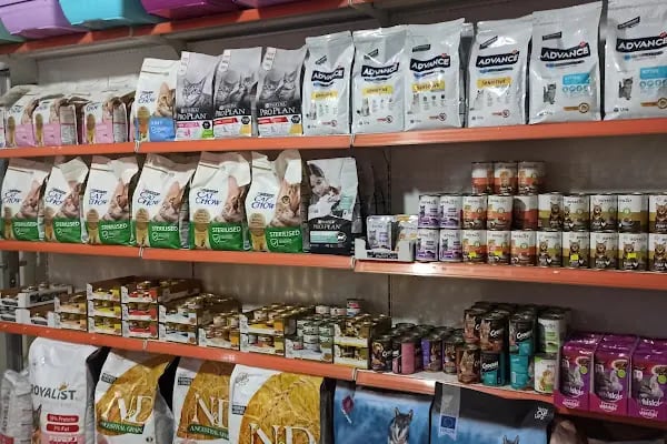 Trabzon yıldızlı petshop - Resim 4