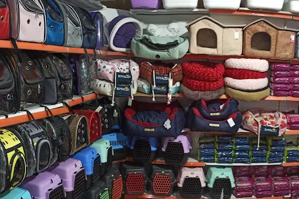 Trabzon yıldızlı petshop - Resim 10