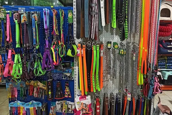Trabzon yıldızlı petshop - Resim 5