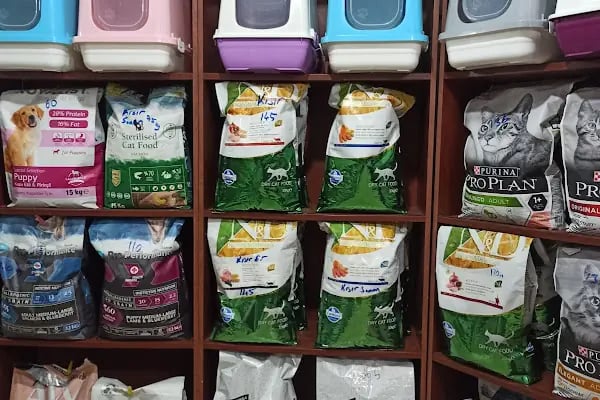 Trabzon yıldızlı petshop - Resim 3