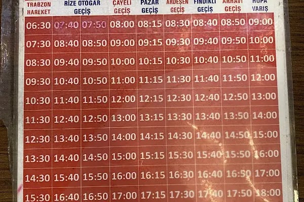 Trabzon Şehirlerarası Otobüs Terminali - Resim 16