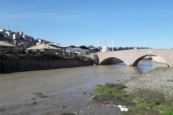 Trabzon Şehirlerarası Otobüs Terminali - Resim 12