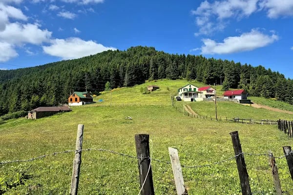 Çamlıdüz Uçarsu Şelalesi - Resim 19