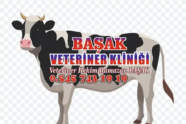 BAŞAK VETERİNER KLİNİĞİ NUSAYBİN - Resim 1